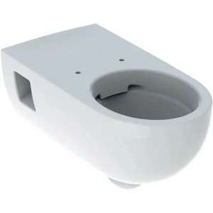 Vas wc suspendat Geberit Selnova Comfort Rimfree cu spalare verticala proiectie alungita fara capac alb