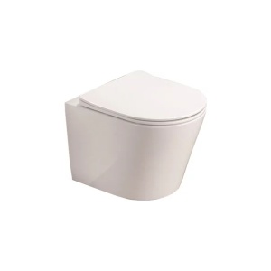 Set vas WC suspendat Fluminia Clementina si capac softclose alb