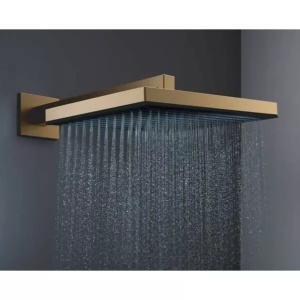 Palarie de dus bronz periat Hansgrohe Pulsify E 260 cu 1 jet - Img 2