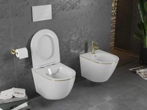 Set vas WC + Bideu Pro White/Gold edge - Img 5
