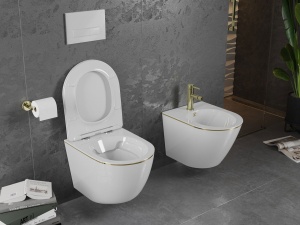 Vas wc Pro White/Gold edge - Img 2