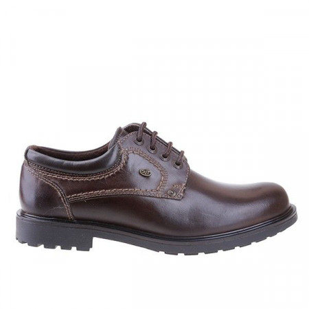 Pantofi barbati casual din piele naturala Robert
