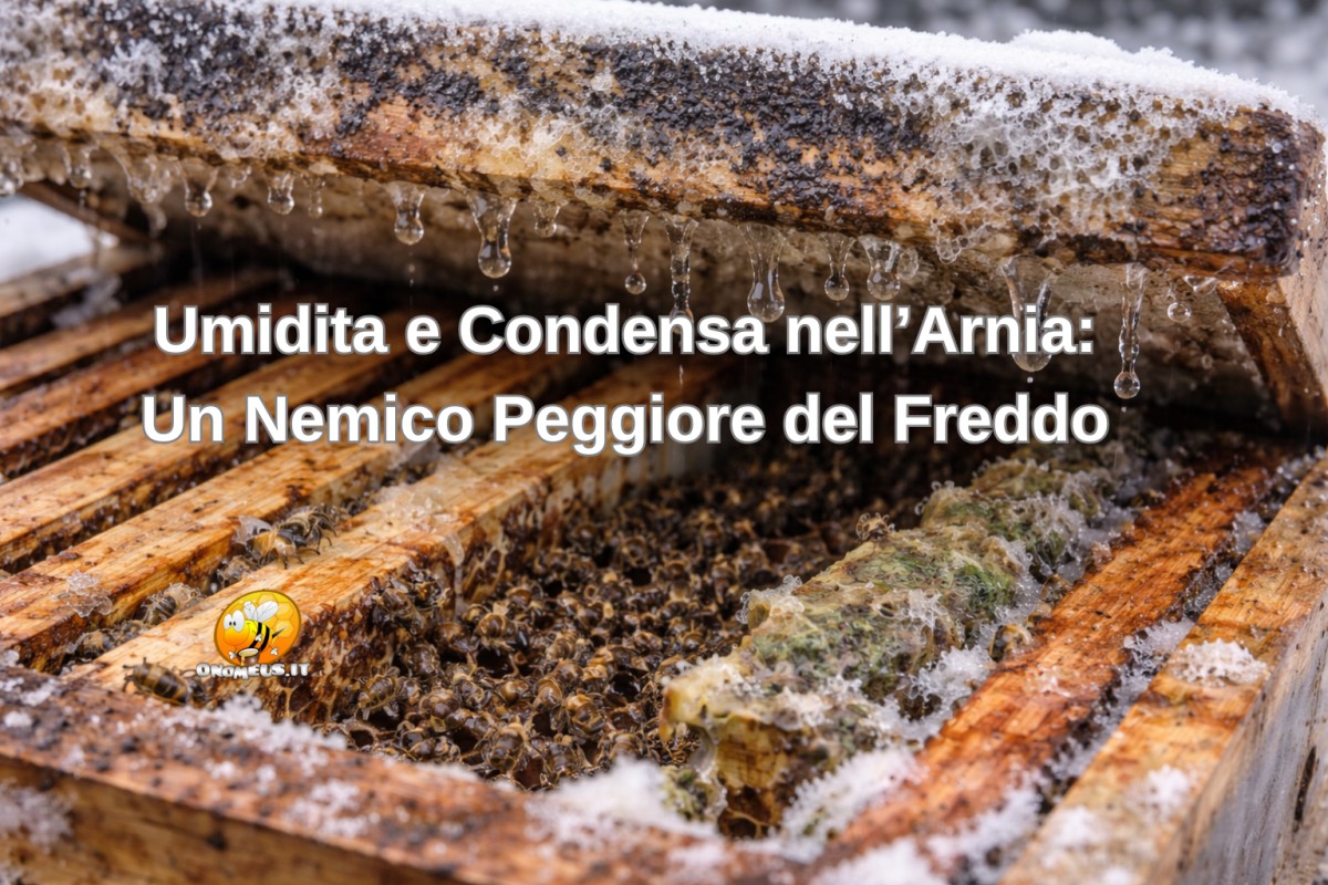 Umidita e Condensa nell’Arnia: Un Nemico Peggiore del Freddo