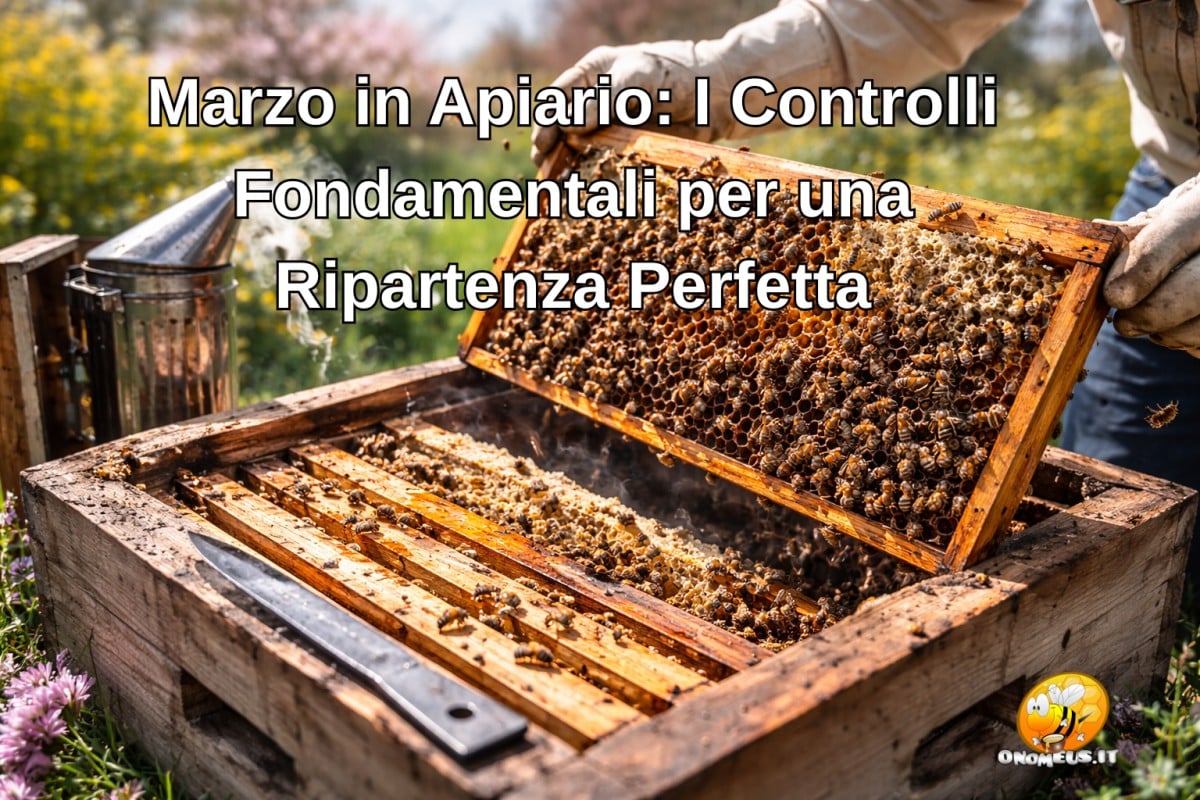 Marzo in Apiario: I Controlli Fondamentali per una Ripartenza Perfetta
