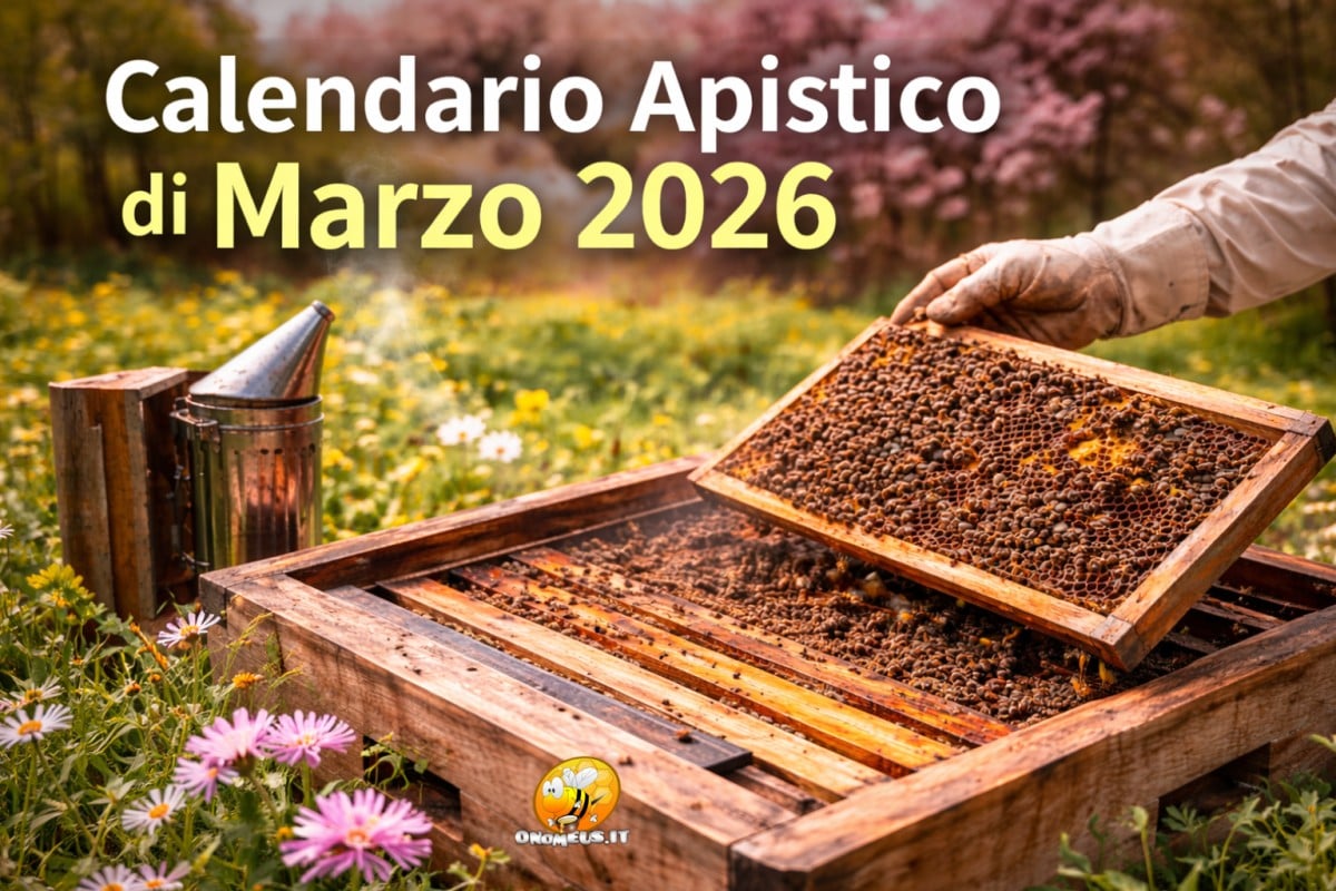 Calendario Apistico di Marzo 2026 per l’Italia