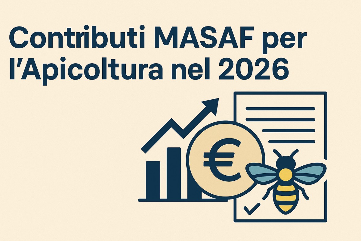 Contributi MASAF Per L’Apicoltura Nel 2026