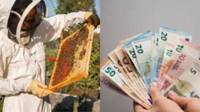 Quanto Guadagna in Media un Apicoltore?