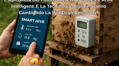 L’Apicoltura Del Futuro Inizia Ora: Come Le Arnie Intelligenti E La Tecnologia Digitale Stanno Cambiando La Vita Degli Apicoltori?