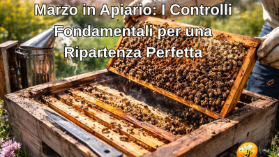 Marzo in Apiario: I Controlli Fondamentali per una Ripartenza Perfetta