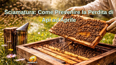 Sciamatura: Come Prevenire la Perdita di Api ad Aprile