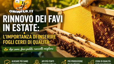 Rinnovo Dei Favi In Estate: L'Importanza Di Inserire Fogli Cerei Di Qualita
