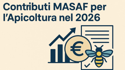 Contributi MASAF Per L’Apicoltura Nel 2026
