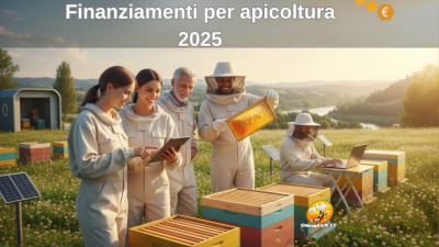 Finanziamenti per apicoltura 2025