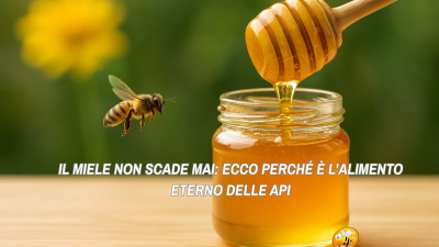 Il Miele Non Scade Mai: Ecco Perché è l’Alimento Eterno delle Api