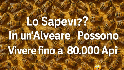 Lo Sapevi? In un’Alveare Possono Vivere fino a 80.000 Api!