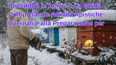 Dicembre in Apiario: La Guida Completa alle Attività Apistiche Invernali e alla Preparazione per