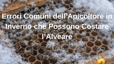 Errori Comuni dell’Apicoltore in Inverno che Possono Costare l’Alveare