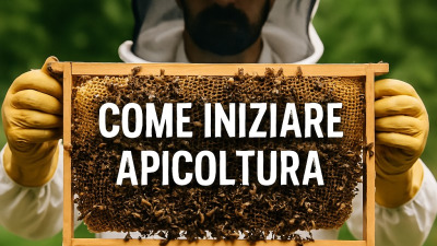 Come Iniziare Apicoltura ? Tutto ciò di cui hai bisogno per un principiante