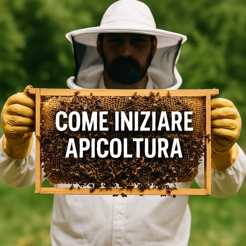 Come Iniziare Apicoltura ? Tutto ciò di cui hai bisogno per un principiante - onomeus.it