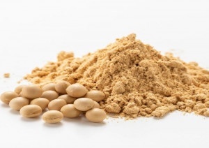 Farina di soia sgrassata 1 kg
