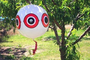 Pallone Spaventapasseri per Uccelli Danno - Colore Bianco