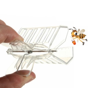 Pinza cattura regina in plastica trasparente con griglia-onomeus.it(2)