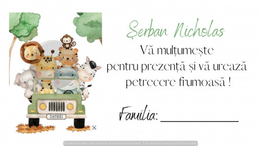 Plic pentru bani botez safari cu animale haioase