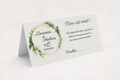 Plic pentru bani/dar cu coroniță verde și inițiale