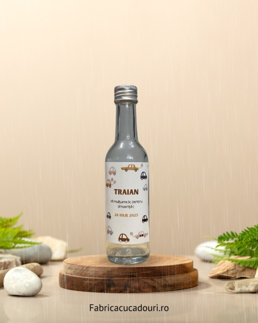 Sticlă de 100 ml cu cap alungit