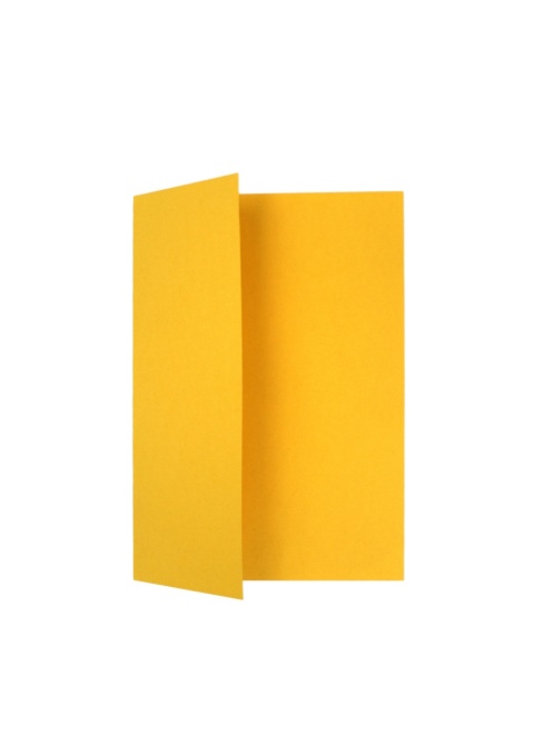 Plic Carton Galben