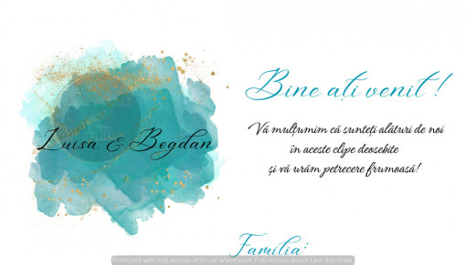 Plic pentru bani nuntă elegant turcoaz cu accente aurii