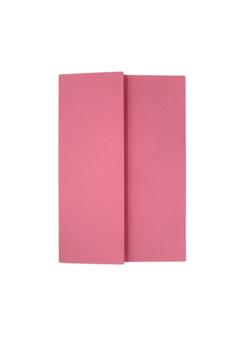 Plic Carton Roz
