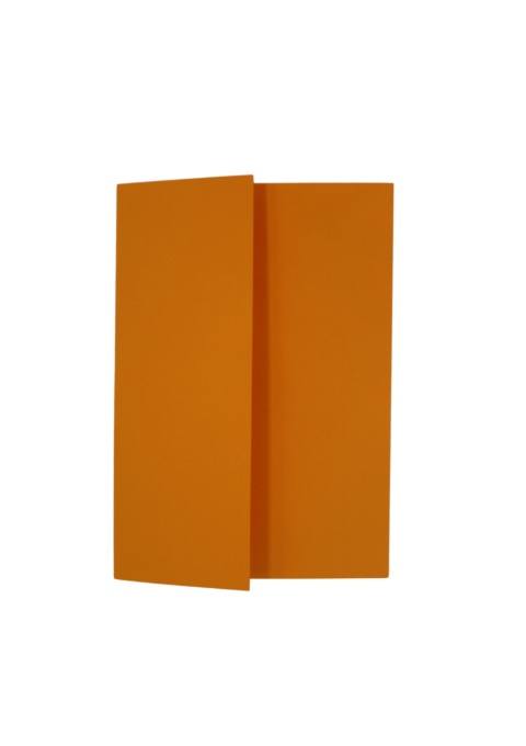Plic Carton Auriu