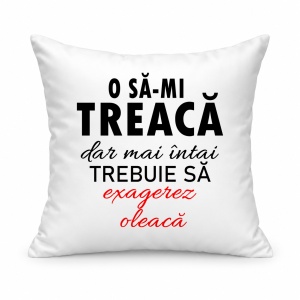 Pernă personalizată O sa mi treaca dar mai intai trebuie sa exagerez oleaca