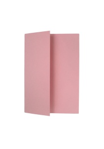 Plic Carton Roz Pal - Img 1