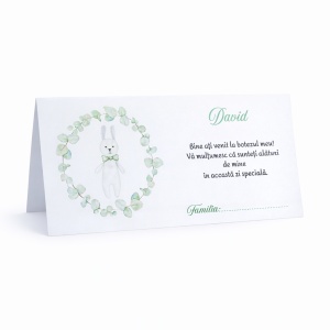 Plic pentru bani botez băiețel cu iepuraș personalizat | Plic pentru dar elegant eucalipt