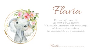 Plic pentru bani botez fetita cu elefant si flori delicate, ideal pentru dar elegant