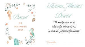 Plic pentru bani botez cu design tematic marin și elemente jucăușe, perfect pentru un decor vesel și colorat
