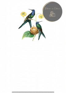 Invitație Botez B396 - Colibri cu Cuib