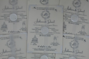 Invitație Nuntă Sidefată cu Plic Vellum, Sigiliu Alb și Perle Decorative - Img 1