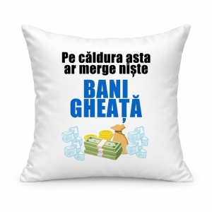 Pernă personalizată Pe caldura asta ar merge niste bani gheata