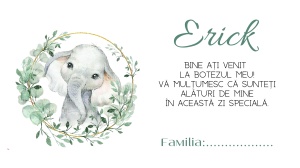 Plic pentru bani botez cu elefant si frunze verzi, design elegant si modern