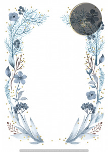 Invitație nuntă nuntă N489