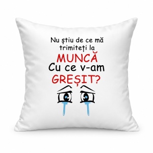 Pernă personalizată Nu stiu de ce ma trimiteti la munca, cu ce v am gresit