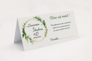 Plic pentru bani/dar cu coroniță verde și inițiale - Img 1