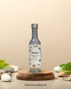 Sticlă de 100 ml cu cap alungit