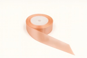 Fundiță Somon – Satin 2.5 cm, 100 cm lungime
