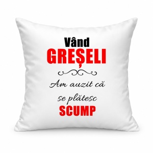 Pernă personalizată Vand greseli, am auzit ca se platesc scump