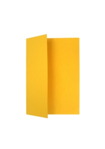 Plic Carton Galben - Img 1