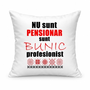 Pernă personalizată Nu sunt pensionar sunt bunic profesionist